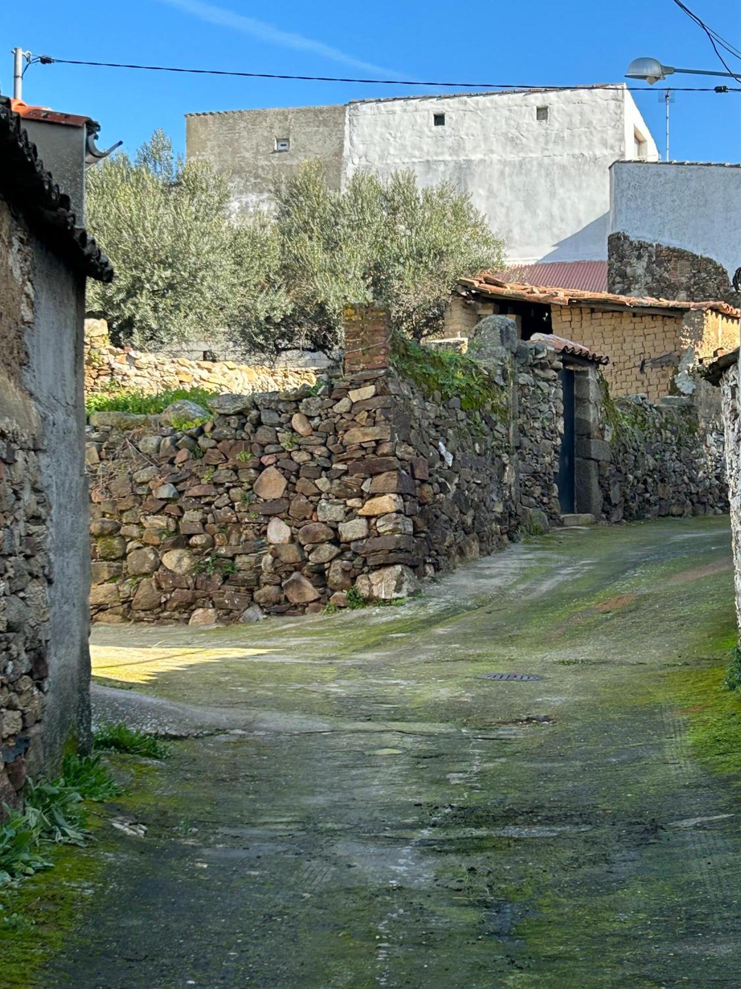 Casa Rural La Manzanilla Salvatierra de Santiago Exterior photo